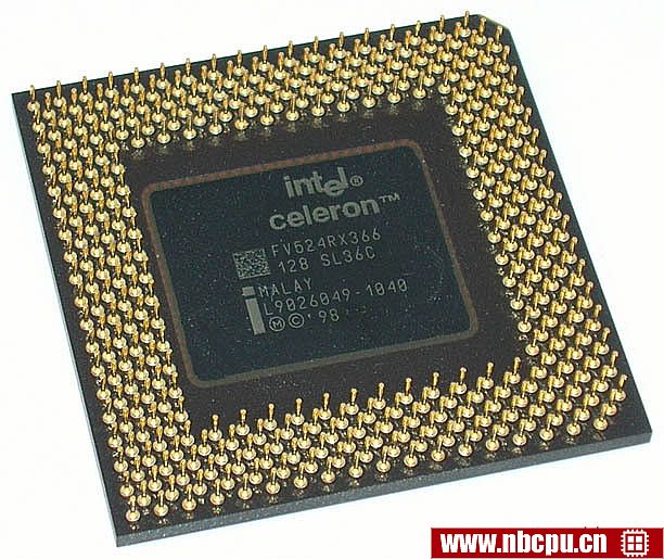 Intel Celeron 366 MHz - FV80524RX366128 / FV524RX366 128