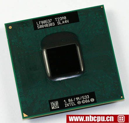 Intel Pentium Dual-Core Mobile T2390 - LF80537GE0361M